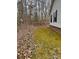 The side yard of the home has a mix of moss and leaves on the ground with a treeline in the background at 410 Johnstone Rd, Cleveland, NC 27013