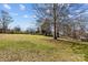 Large backyard with mature trees and a mix of grass and leaves under a blue sky at 1707 W 4Th Ave, Gastonia, NC 28052