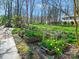 Spacious backyard featuring raised garden beds, lush greenery, and plenty of room for outdoor activities and enjoyment at 1906 Overhill Dr, Monroe, NC 28110