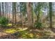 A wooden swing set in the yard in a wooded backyard with foliage at 3615 Maple Glenn Ln, Charlotte, NC 28226