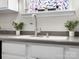 Close-up of kitchen sink with leafy decor and faucet at 421 Silver Cypress Ln, Fort Mill, SC 29708