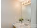 Bright bathroom featuring a white marble-patterned countertop and decorative plant at 6212 Windsor Gate Ln, Charlotte, NC 28215