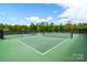 Outdoor tennis courts with green playing surface and black netting, surrounded by trees at 2018 Links View Dr, Fort Mill, SC 29707