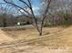 Cleared lot with a large tree in the foreground and single Gathering home in the background at 2739 Great Falls Hwy, Lancaster, SC 29720