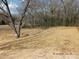 An open and cleared lot with a large tree, ready for building your dream home at 2739 Great Falls Hwy, Lancaster, SC 29720