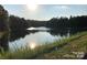 Tranquil pond view with lush greenery, creating a peaceful residential setting at 124 Helton Ln, Fort Mill, SC 29708