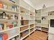 Walk-in pantry with custom shelving providing ample storage at 144 Morgan Bluff Rd, Mooresville, NC 28117