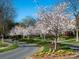 Picturesque street lined with flowering trees and meticulously maintained lawns in a residential neighborhood at 17201 Royal Court Dr, Davidson, NC 28036