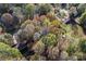 An aerial view shows this cozy home nestled among trees with beautiful fall foliage at 325 Spring Oak Dr, Salisbury, NC 28147