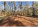 Wooded backyard featuring large trees and a shed in the background at 325 Spring Oak Dr, Salisbury, NC 28147