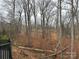View of a wooded backyard with bare trees, leaves on the ground, and small creek at 18 Pickett Ave, Spencer, NC 28159