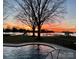Picturesque backyard at sunset with inground pool, mature trees and serene water views at 20601 Island Forest Dr, Cornelius, NC 28031