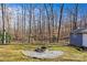 Backyard featuring a fire pit with a shed, surrounded by trees and nature at 2913 Archdale Dr, Charlotte, NC 28210
