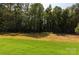 Lush backyard features mature trees, offering privacy and shade; perfect outdoor escape at 111 Tradesmen Trl # 75, Troutman, NC 28166