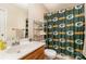 Bathroom with Packers-themed shower curtain, wooden vanity, and a mirror at 12421 Poplar Forest Dr, Charlotte, NC 28278