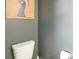 Modern toilet with a framed peacock art piece that adds a touch of elegance at 12461 Bryton Ridge Pkwy, Huntersville, NC 28078