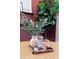 A beautiful decorative wooden tray sits on a table and features bingo cards, books, and a plant in a vase at 305 Old Town Village Rd, Waxhaw, NC 28173