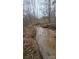 Picturesque creek winding through a wooded area, creating a serene and natural landscape at 404 B And S Ln, Hickory, NC 28601
