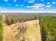 Expansive aerial view of land and trees under a bright blue sky dotted with fluffy white clouds at 164 Linderman Lake Ln, Kings Mountain, NC 28086