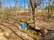 Scenic view of a small creek running through a wooded area with trees in a natural setting at 164 Linderman Lake Ln, Kings Mountain, NC 28086