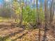 Tranquil wooded creek providing a scenic natural feature and peaceful setting at 164 Linderman Lake Ln, Kings Mountain, NC 28086