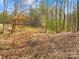 Wooded lot with a mix of trees, offering privacy and natural beauty at 164 Linderman Lake Ln, Kings Mountain, NC 28086