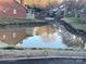 Picturesque water feature in the community with lush landscaping and reflection of surrounding homes at 19915 Oak Leaf Cir, Cornelius, NC 28031