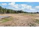 Expansive land showcasing the property's potential with ample space and natural surroundings at 4783 Rainey Ln, Maiden, NC 28650
