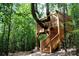 Unique treehouse in the woods, featuring a wooden structure built around a mature tree at 4922 Looking Glass Trl, Denver, NC 28037