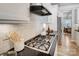 Close up of a gas range with granite counter tops and stainless steel hood at 7348 Adirondack Dr, Denver, NC 28037