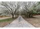 Long driveway leading to the home, lined with blooming trees and overlooking a peaceful pond at 10843 Caroline Acres Rd, Fort Mill, SC 29707