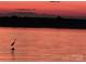 Stunning sunset over the lake, featuring a heron silhouetted against the vibrant sky at 120 Ole Point Ln, Salisbury, NC 28146