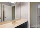 Bathroom featuring a sleek black cabinet, vanity, large mirror, and updated fixtures at 1715 Shagbark Ln, Charlotte, NC 28226