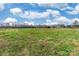 A vast, sunlit grassy field with scattered foliage stretches under a blue sky filled with fluffy white clouds at 2455 Wellridge Rd, Chester, SC 29706
