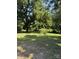 Picturesque backyard featuring a large tree providing shade and natural beauty at 5949 Flat Creek Rd, Kershaw, SC 29067