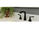 Close up of a modern faucet, quartz counters, and decorative plant in the main bathroom at 106 Isle Of Pines Rd, Mooresville, NC 28117