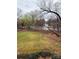 Large backyard with lush green grass, mature trees, and a view of the surrounding neighborhood at 100 Chadmore Dr, Charlotte, NC 28270