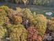 A high angle view of a home surrounded by vibrant fall foliage and a nearby golf course at 5084 Mariana Ct, Tega Cay, SC 29708