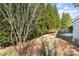 Landscaped backyard with tall trees, a patio, and a beautiful view at 620 Amethyst Cir, Fort Mill, SC 29708