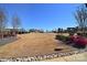 Scenic community view showcasing manicured landscaping, lush green space, and various home styles at 6521 Shoff Cir, Charlotte, NC 28215