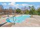 Backyard featuring an in-ground pool surrounded by green landscaping and fencing at 10615 Persimmon Creek Dr, Mint Hill, NC 28227