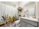 Well-lit bathroom with decorative cactus shower curtain and gray vanity at 13012 Canterbury Castle Dr, Charlotte, NC 28273