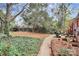 Spacious backyard with mature trees, partial ivy ground cover, and a cozy seating area at 1817 Jameston Dr, Charlotte, NC 28209