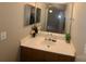 Well-lit bathroom featuring a white sink, wood cabinets, and decorative plants and flowers at 5963 Moose Ln, Charlotte, NC 28269