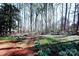 Spacious backyard with trees and a privacy fence at 6245 Snowcrest Ct, Charlotte, NC 28212