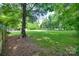 Green backyard with mature trees creating a peaceful, shaded outdoor space at 6688 Pine Forest Dr, York, SC 29745