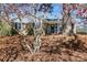 Charming brick home framed by blossoming magnolia trees at 7124 Brynhurst Dr, Charlotte, NC 28210