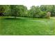 Large backyard with a lush green lawn and mature trees at 1080 Rolling Green Dr, Newton, NC 28658