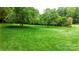 Large backyard with a lush green lawn and mature trees at 1080 Rolling Green Dr, Newton, NC 28658