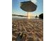 Sandy beach with a sun umbrella and a view of the community dock at 667 Portside Dr, Davidson, NC 28036